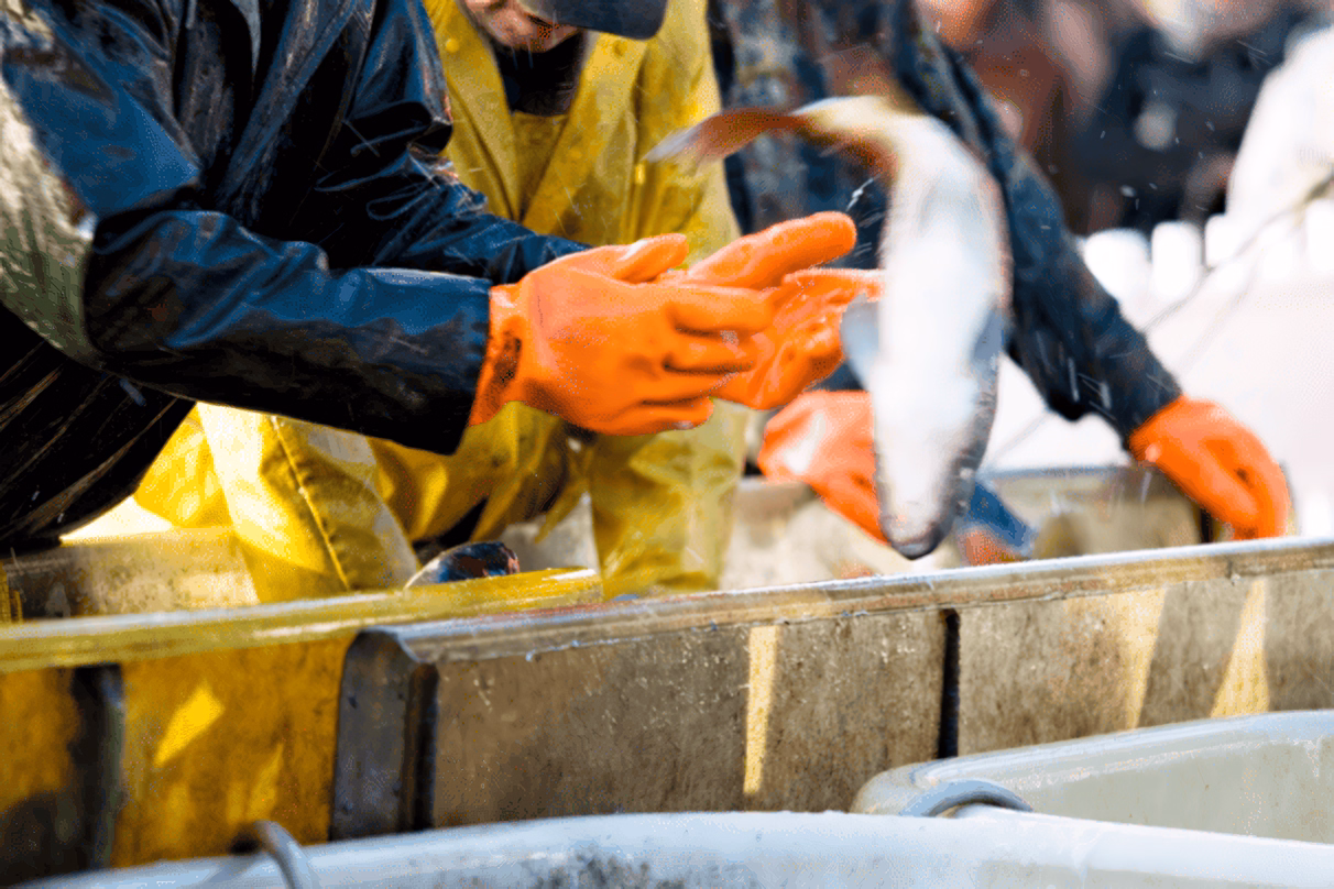 Reducing Risk Through Innovation A Hydraulic Solution For Sanford