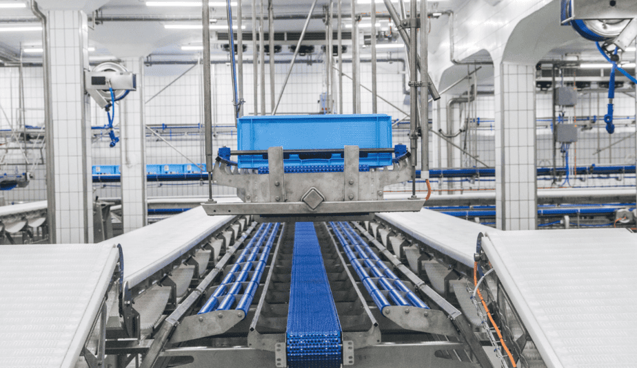 How A Recent Horrific Meatworks Injury Could Have Been Prevented