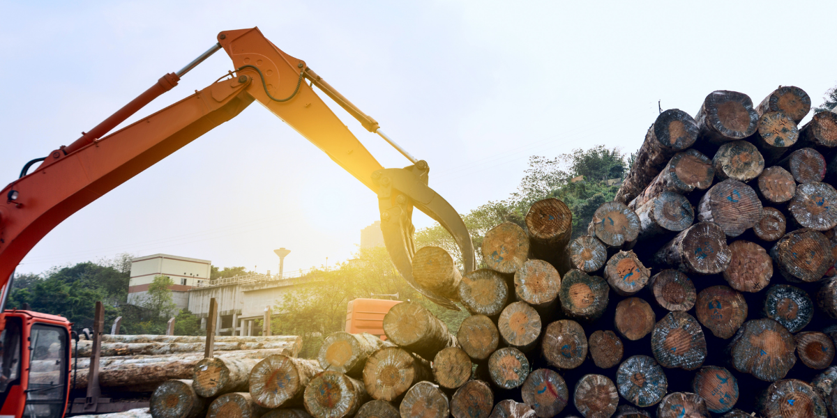 Grapple arm of a log loader lifting a felled log onto a large stockpile of logs at a timber yard, backlit by the sun.